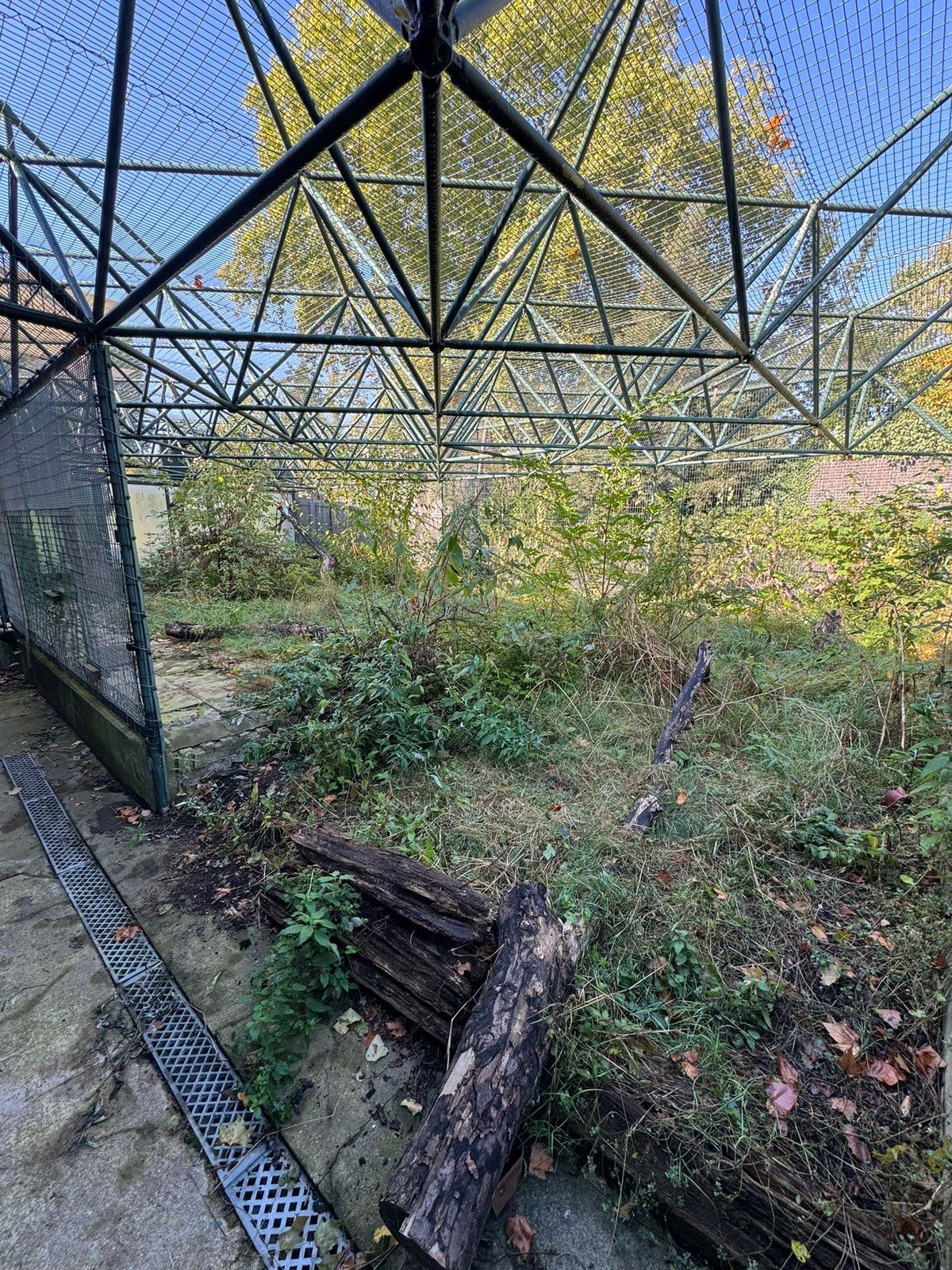 London Zoo, photo 1