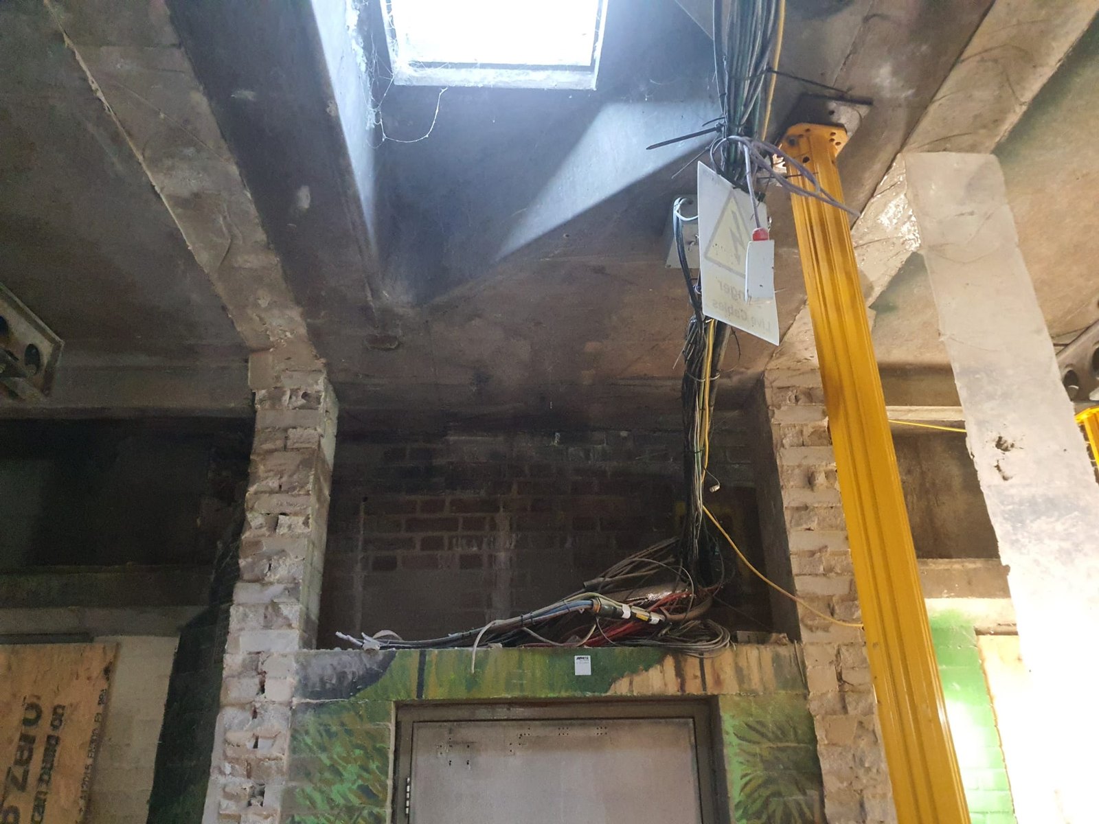 London Zoo, photo 9